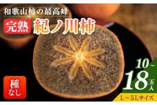 【先行予約】【秋の美味】【和歌山ブランド】和歌山柿の最高峰　濃厚！紀ノ川柿　１０～１８玉入り◇｜柿 カキ フルーツ 果物 和歌山 先行予約 かき たねなし  国産 産地直送 美浜町　※2025年10月中旬～11月上旬頃に順次発送予定【GO-05】