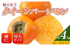 【先行予約】【和歌山特産品】柿の女王 特大サイズのたねなし柿 クイーンパーシモン 4L～7Lサイズ 約4kg入り｜ 種なし柿 産地直送 柿 果物 フルーツ 先行 国産 美浜町　※2025年10月下旬～11月上旬頃に順次発送予定　※沖縄地域へのお届け不可【GO-06】
