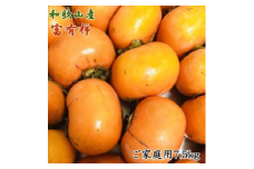 和歌山産富有柿ご家庭用約7.5kg ※2025年11月上旬～12月上旬頃に順次発送予定 ※離島への配送不可