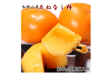 【厳選・産直】和歌山産のたねなし柿2L～4Lサイズ約4kg（化粧箱入り）※2025年10月上旬～11月上旬頃に順次発送予定 ※離島への配送不可