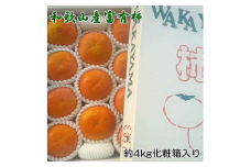 ［厳選・産直］和歌山産の富有柿約4kg（化粧箱入り）（2L～4Lサイズ） ※2025年11月上旬～12月上旬頃に順次発送予定 ※離島への配送不可
