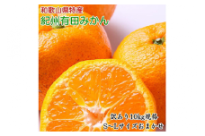 [訳あり]和歌山有田みかん約10kg（S～Lサイズいずれかお届け）ふるさと納税 みかん ※2025年11月中旬～2026年1月中旬頃に順次発送予定