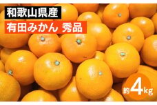 和歌山県産 有田みかん 約4kg 秀品 ※2025年10月中旬～2026年1月下旬頃に順次発送予定 ※北海道・沖縄・離島への配送不可