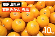 和歌山県産 有田みかん 約10kg 秀品 ※2025年10月中旬～2026年1月下旬頃に順次発送予定 ※北海道・沖縄・離島への配送不可