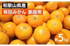 和歌山県産 有田みかん 約5kg 家庭用 ※2025年10月中旬～2026年1月下旬頃に順次発送予定 ※北海道・沖縄・離島への配送不可