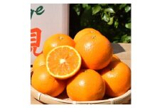 和歌山県産 有田の清見 約5kg 秀品 ※2026年3月上旬～4月下旬頃に順次発送予定 ※北海道・沖縄・離島への配送不可