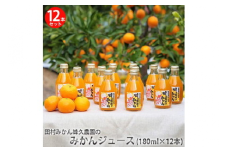 田村みかん蜂久農園のみかんがっつりしぼったでぇ　みかんジュース(180ml×12本)