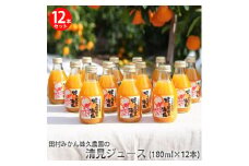 田村みかん蜂久農園の清見がっつりしぼったでぇ　清見ジュース(180ml×12本)※2026年4月以降に順次発送予定