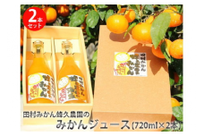 田村みかん蜂久農園のみかんがっつりしぼったでぇ　みかんジュース(720ml×2本)