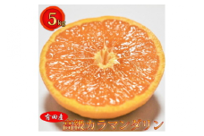 有田産　高級カラマンダリン　5キロ　サイズおまかせ（2L～S) ※2022年4月上旬～5月上旬頃に順次発送予定