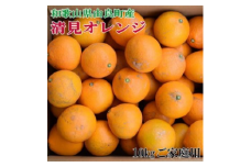 【訳あり・ご家庭用】和歌山由良町産の濃厚清見オレンジ約10kg　※2026年2月中旬～2026年2月下旬頃より順次配送予定