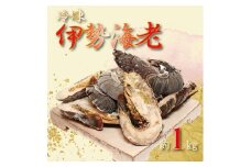 地元産 冷凍伊勢海老カット(サイズ不揃い）約1kg◇｜えび エビ 魚介 海鮮 海産物 和歌山 伊勢海老 伊勢エビ イセエビ 高級 カット 鍋 味噌汁 瞬間冷凍 国産 産地直送 美浜町