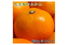 【食べごたえ十分】有田みかん大玉9kg（3Lサイズ・秀品） ※2025年11月中旬～2026年1月中旬頃より順次配送予定