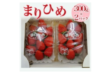 【2024年1月中旬～発送】「まりひめ」和歌山県オリジナルいちご 約300g×2パック入 ふるさと納税 いちご ※北海道・沖縄・離島への配送不可