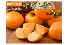 ＜ご家庭用＞和歌山県産 平核無柿 約5kg |産地直送 種なし 果物 フルーツ かき 柿
※離島への配送不可
※2023年9月下旬～10月下旬頃に順次発送予定