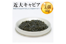 近大キャビア10ｇ×1個 ｜チョウザメ  珍味  魚卵  無着色