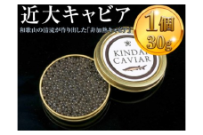 近大キャビア30ｇ  ｜チョウザメ  珍味  魚卵  無着色
