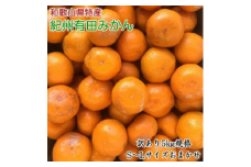 ［訳あり］和歌山有田みかん約5kg（S～Lサイズいずれかお届け）｜わけあり 産地直送 ご自宅用 柑橘 果物 フルーツ ※2025年11月中旬～2026年1月中旬頃に順次発送予定 ふるさと納税 ミカン