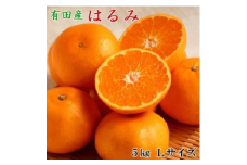 【厳選・濃厚】紀州有田産のはるみ約5kg（Lサイズ）｜柑橘 果物 フルーツ 産地直送 大きい ※2026年1月下旬～2月中旬頃に順次発送予定