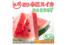 【農家直送】厳選！濃厚小玉すいか『ひとりじめ7(セブン)』　秀品　Mサイズ　１玉入り※2022年6月上旬～6月下旬頃に順次発送予定※北海道・沖縄・離島への発送不可