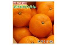 [秀品]和歌山有田みかん4kg(2Lサイズ) ※2025年11月中旬～2026年1月中旬頃に順次発送予定 ふるさと納税 ミカン