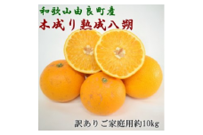 【産直】和歌山由良町産の木成り熟成八朔 訳ありご家庭用 約10kg（サイズ混合）◇ | 和歌山 産地直送 みかん 柑橘 フルーツ 　※2026年3月中旬～2026年4月中旬頃より順次配送予定
