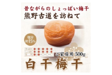 紀州南高梅 白干梅干し 500g ご家庭用 | 国産 ふるさと納税 うめぼし※北海道・沖縄・離島への配送不可