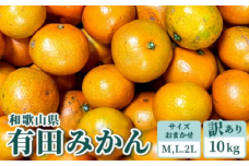 『訳あり』和歌山有田みかん約10kg(MかLか2Lサイズいずれかおまかせ) | ミカン 柑橘 フルーツ※2022年10月下旬頃～2023年1月中旬頃に順次発送予定