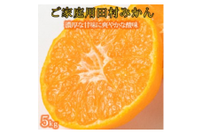 【ご家庭用訳あり】田村みかん ５ｋｇ◇｜ 有田 紀伊 ふるさと納税 ミカン ｜ 蜜柑 柑橘 果物 フルーツ 糖度 甘い 濃厚 コク ジューシー 先行予約 みかん 国産 産地直送 人気 美浜町　※2025年11月下旬〜2026年1月下旬頃に順次発送予定