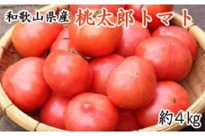 【新鮮】和歌山県産桃太郎トマト約4kg（L～2Lサイズおまかせ）※着日指定不可※北海道・沖縄・離島への配送不可※2024年6月上旬～7月中旬頃に順次発送予定