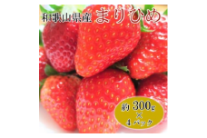 【2月発送】和歌山県産ブランドいちご「まりひめ」約300g×4パック入り◇｜苺 産地直送 果物 フルーツ ふるさと納税 いちご ※北海道・沖縄・離島への配送不可 ※2026年2月上旬～2月下旬頃に順次発送予定