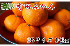 【先行予約】【産直・秀品】 和歌山 有田みかん 10kg（2Sサイズ）※2025年11月中旬～2026年1月中旬頃に順次発送予定