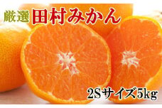 【ブランドみかん】田村みかん約5kg（2Sサイズ・秀品）
※2025年11月下旬～12月下旬頃に順次発送予定