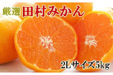 【ブランドみかん】田村みかん約5kg（2Lサイズ・秀品）
※2025年11月下旬～12月下旬頃に順次発送予定