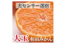 家庭用 大きな有田みかん5kg+250g（傷み補償分）【わけあり・訳あり】【光センサー選果】 ※北海道・沖縄・離島への配送不可 ※2025年11月上旬～2026年1月下旬頃に順次発送予定