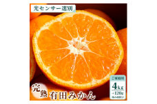 家庭用 完熟有田みかん4kg+120g（傷み補償分）【わけあり・訳あり】【光センサー選果】
※北海道・沖縄・離島への配送不可
※着日指定不可
※2024年1月上旬～1月下旬頃に順次発送予定