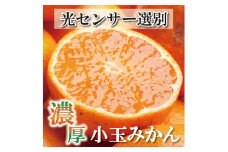 家庭用 小玉な有田みかん5kg+250g（傷み補償分）【わけあり・訳あり】【光センサー選果】 ※北海道・沖縄・離島への配送不可 ※2025年11月上旬～2026年1月下旬頃に順次発送予定