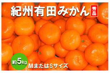 紀州有田みかん 秀品 約5kg(МまたはSサイズ) ※離島への配送不可 ※2025年11月下旬～2026年1月中旬頃順次発送予定