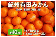 紀州有田みかん　約10kg (2S～2L) サイズおまかせ いずれか【訳あり 家庭用】【青秀・良】
※離島への配送不可
※2024年11月中旬～2025年1月中旬頃に順次発送予定