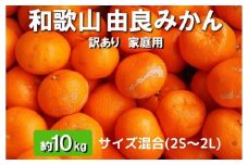 和歌山由良みかん 約10kg(2S～2L)サイズ混合【訳あり・家庭用】※離島への配送不可 ※2025年11月下旬～2026年1月中旬頃順次発送予定