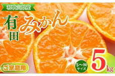 【ご家庭用】和歌山有田みかん約5kg(S、Mサイズ)〇  | ご家庭用みかん 有田みかんみかん 10kgみかん Sみかん Mみかん 和歌山みかん ミカン 蜜柑 箱みかん 温州みかん 有田みかんお取り寄せ 家庭用みかんお取り寄せ みかんお取り寄せ 完熟みかん 完熟有田みかん ※北海道・沖縄・離島への配送不可 ※2025年11月上旬～2026年1月下旬頃に順次発送予定