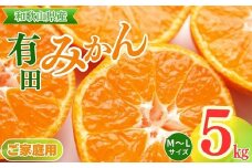 【ご家庭用】和歌山有田みかん約5kg(M、Lサイズ)〇  | ご家庭用みかん 有田みかんみかん 5kgみかん Mみかん Lみかん 和歌山みかん ミカン 蜜柑 箱みかん 温州みかん 有田みかんお取り寄せ 家庭用みかんお取り寄せ みかんお取り寄せ 完熟みかん 完熟有田みかん ※北海道・沖縄・離島への配送不可 ※2025年11月上旬～2026年1月下旬頃に順次発送予定