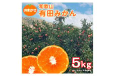 【ご家庭用】和歌山有田みかん約5kg(SS、S、M、L、2Lサイズ)【美浜町】 ※2023年10月下旬頃～2024年1月中旬頃に順次発送予定 ※北海道・沖縄・離島への配送不可