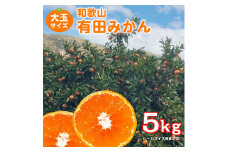 【ご家庭用】和歌山有田みかん約5kg(L、2Lサイズ)【美浜町】 ※2023年10月下旬頃～2024年1月中旬頃に順次発送予定 ※北海道・沖縄・離島への配送不可