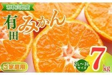 【ご家庭用】和歌山有田みかん約7kg(2L、3Lサイズ)〇  | ご家庭用みかん 有田みかんみかん 7kgみかん 2Lみかん 3Lみかん 和歌山みかん ミカン 蜜柑 箱みかん 温州みかん 有田みかんお取り寄せ 家庭用みかんお取り寄せ みかんお取り寄せ 完熟みかん 完熟有田みかん ※北海道・沖縄・離島への配送不可 ※2025年11月上旬～2026年1月下旬頃に順次発送予定