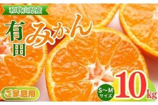 【ご家庭用】和歌山有田みかん約10kg(S、Mサイズ)〇  | ご家庭用みかん 有田みかんみかん 10kgみかん Sみかん Mみかん 和歌山みかん ミカン 蜜柑 箱みかん 温州みかん 有田みかんお取り寄せ 家庭用みかんお取り寄せ みかんお取り寄せ 完熟みかん 完熟有田みかん ※北海道・沖縄・離島への配送不可 ※2025年11月上旬～2026年1月下旬頃に順次発送予定