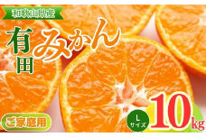 【ご家庭用】和歌山有田みかん約10kg(Lサイズ)【美浜町】◇ ※北海道・沖縄・離島への配送不可 ※2024年10月中旬～2025年1月下旬頃に順次発送予定