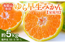 【ご家庭用 極早生】和歌山有田ゆら早生みかん 約5kg(SS、S、M、Lサイズ)【美浜町】 ※北海道・沖縄・離島への配送不可 ※2025年10月下旬～11月下旬頃に順次発送予定