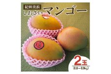 紀州美浜しおさいマンゴー2玉（0.8～0.9kg）
※離島への配送不可
※2025年7月下旬～9月上旬頃に順次発送予定