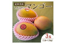 紀州美浜しおさいマンゴー3玉（1.6～1.7kg）
※着日指定不可
※離島への配送不可
※2023年7月中旬～8月下旬頃に順次発送予定